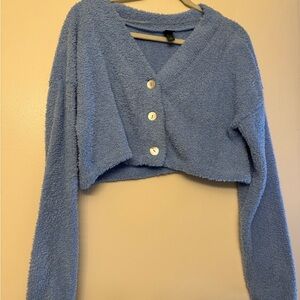 wild fable Light Blue Cropped V-Neck Button Sweater